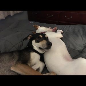 Meet your Posher, Donna